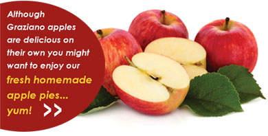 Although Graziano apples are delicious on their own here's an apple pie recipe for you to try!