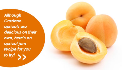 Although Graziano apricots are delicious on their own here's an apricot jam recipe for you to try!