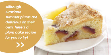 Although Graziano summer plums are delicious on their own here's a plum cake recipe for you to try!